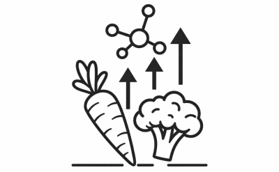 Nutrient density icon