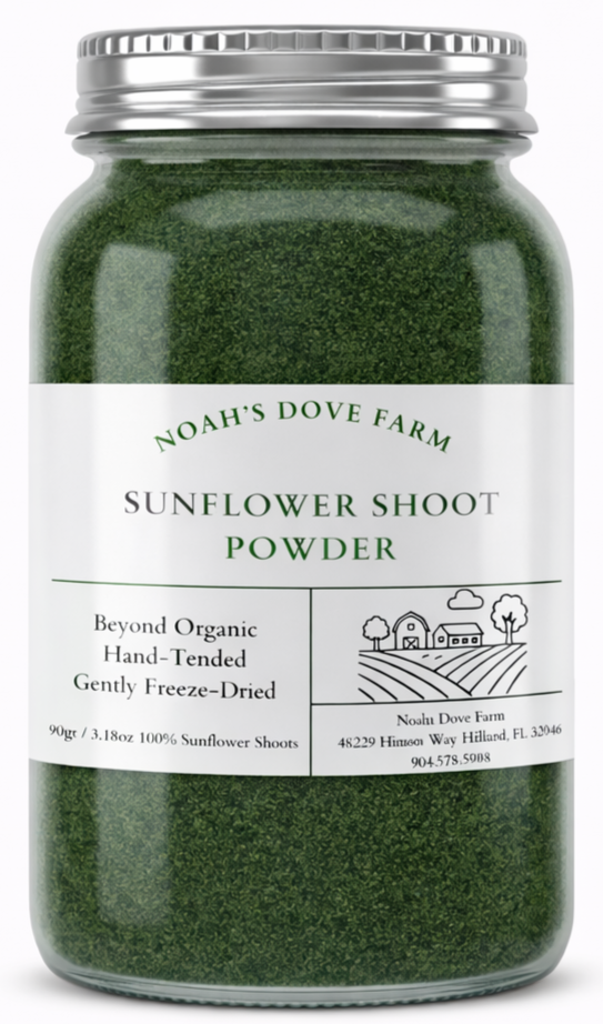 Black Oil Sunflower Microgreen Powder