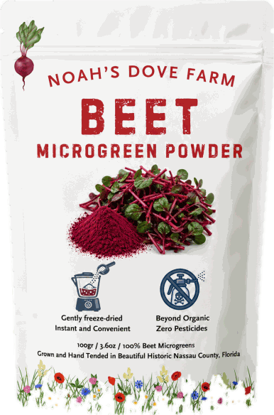 Beet Microgreen Powder