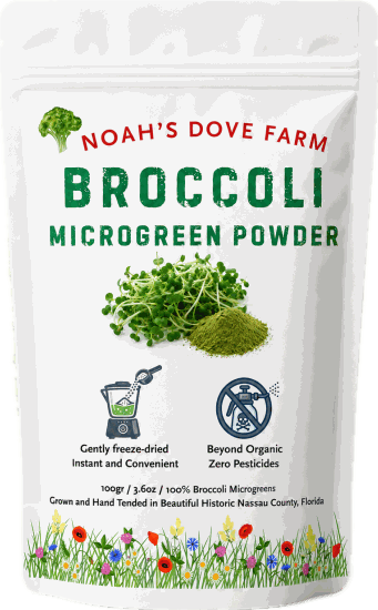 Broccoli Microgreen Powder